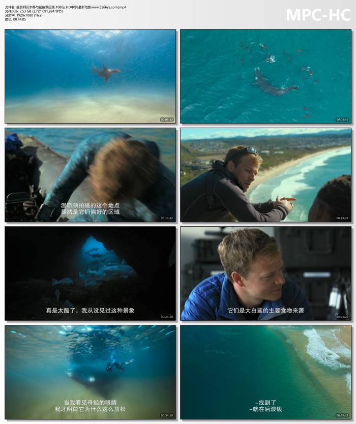 慢热型量子回溯