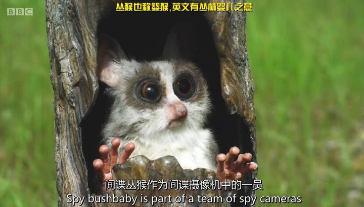 高分科幻剧英剧的解读解读都在聊什么?