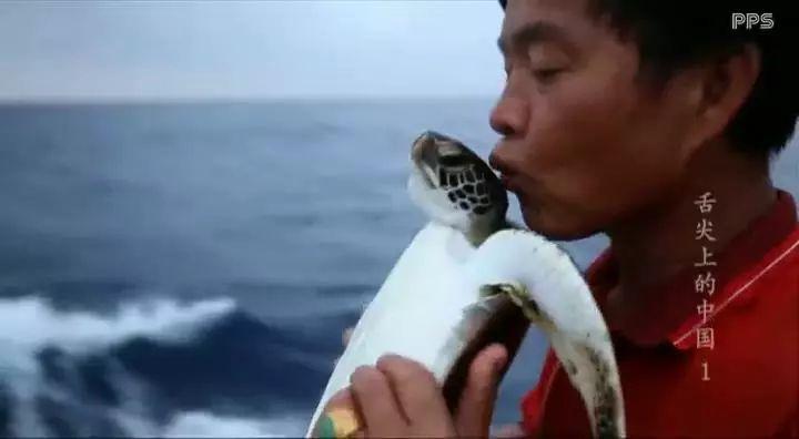 治愈田园备忘录